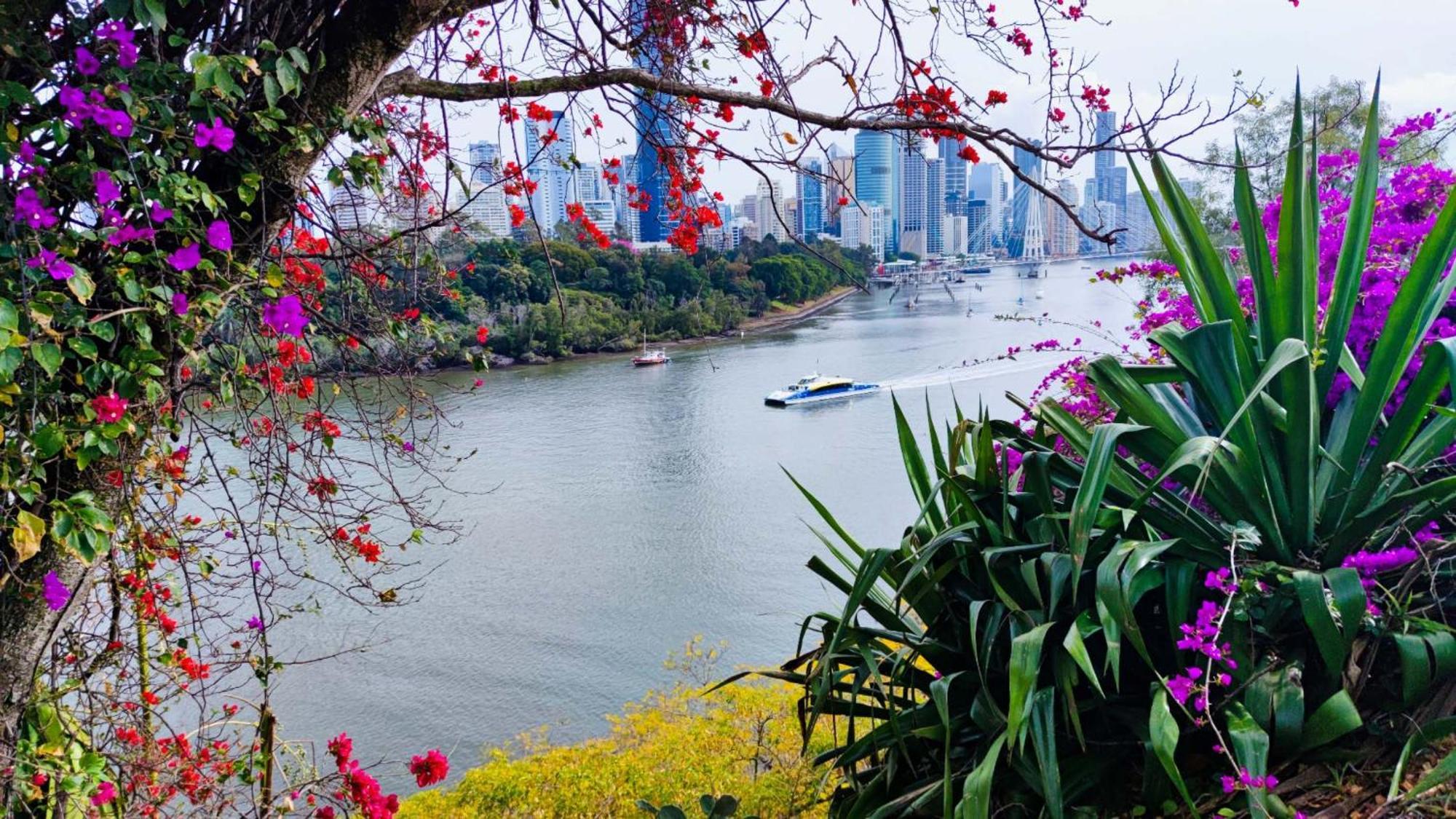 Cliffinn Kangaroo Point Brisbane Exteriör bild